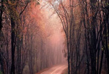 九球体育官网：助阿根廷41大胜巴西，朱利亚诺西蒙尼打进国家队处子球.