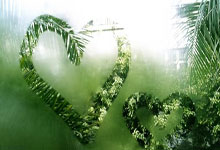 九球体育官网：助阿根廷41大胜巴西，朱利亚诺西蒙尼打进国家队处子球.